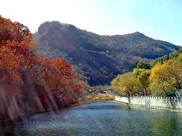 管家婆黑白马报图库，北京买车